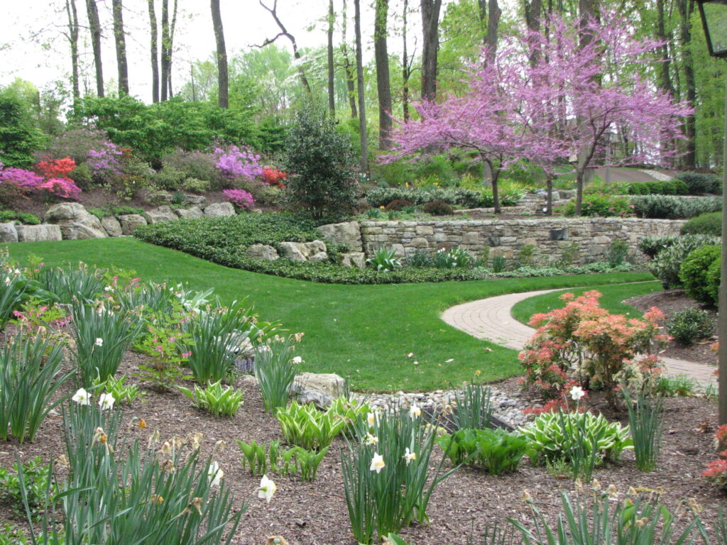 Landscape with flowering tree, perennials and path