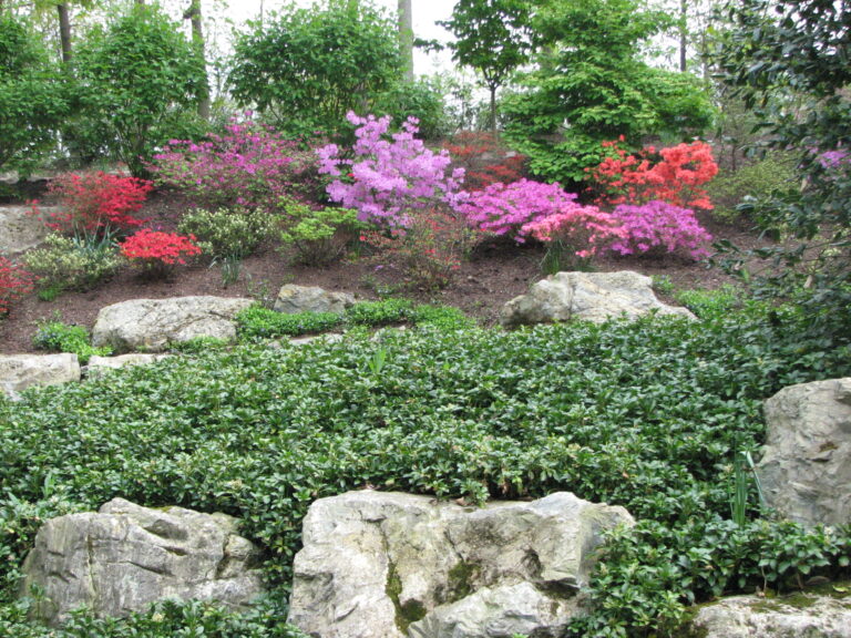 Garden design with azaleas