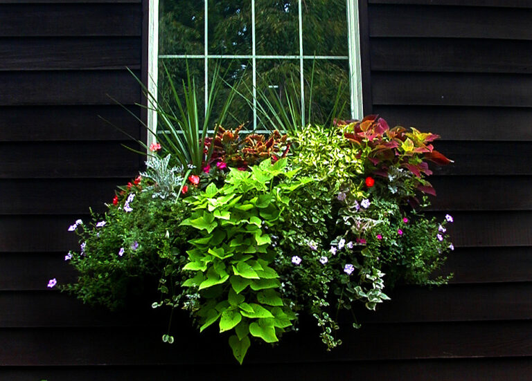 WindowBox_plantergallerylg